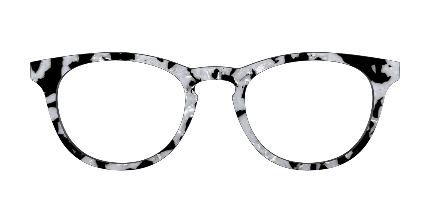 The Black & White Pearl Tortoise