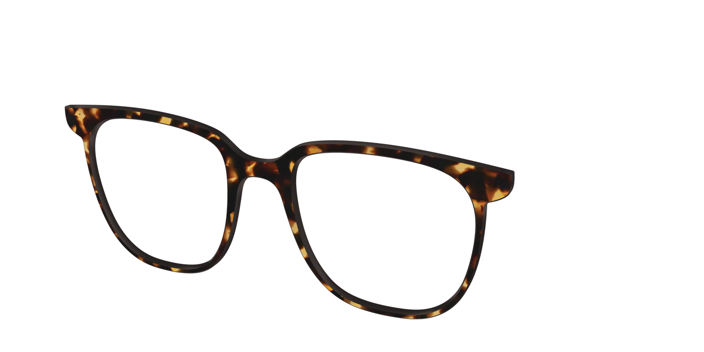 The Tortoise