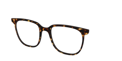 The Tortoise