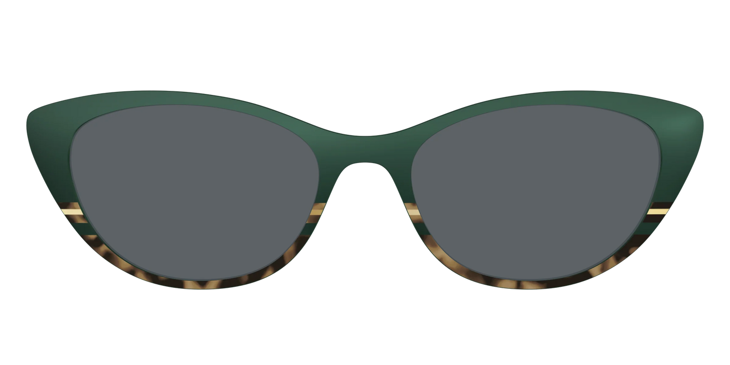 The Polarized Spruce Tortoise Sun Top