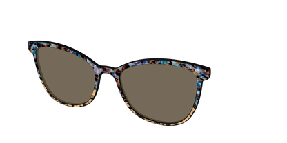 The Polarized Oasis Tortoise Split Sun Top