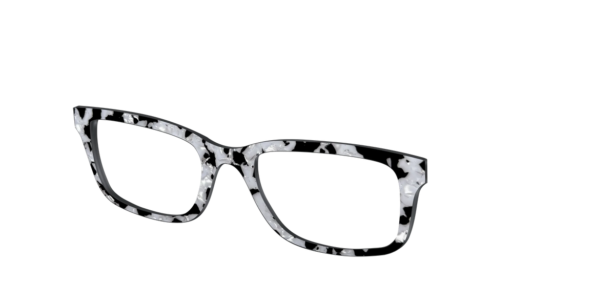 The Black & White Pearl Tortoise