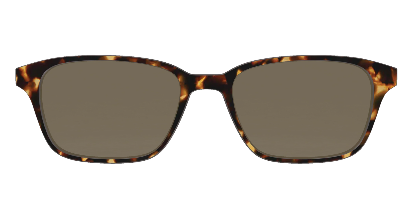 The Non-Polarized Tortoise Sun Top