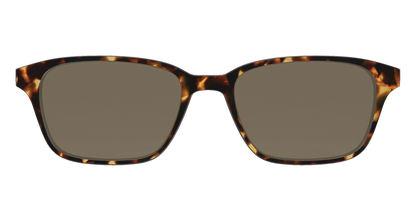 The Non-Polarized Tortoise Sun Top