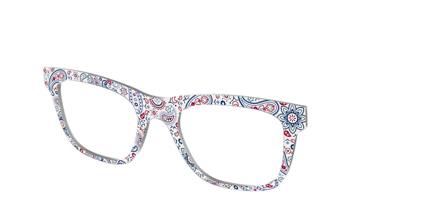 The Picnic Paisley