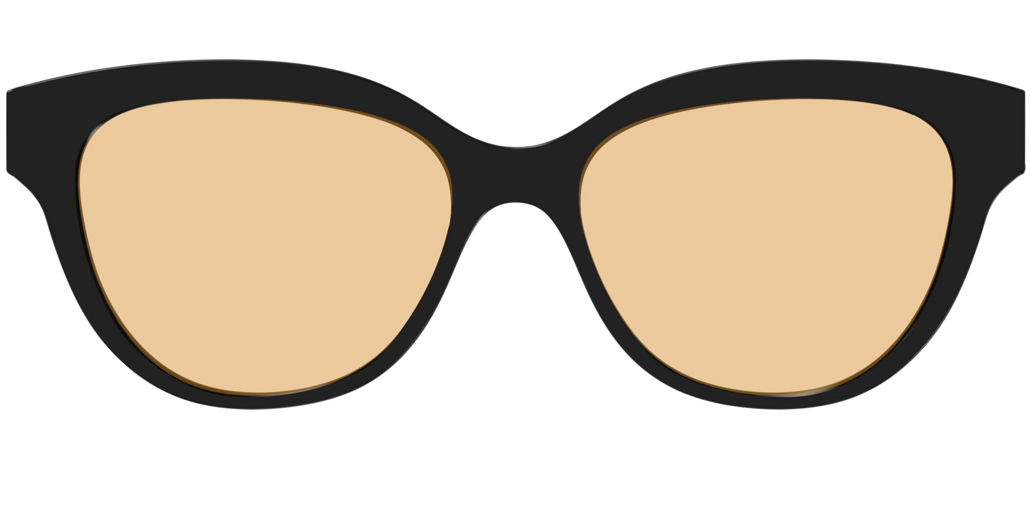 The Black With Umber Brown Lens