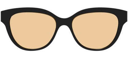 The Black With Umber Brown Lens