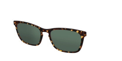 The Non-Polarized Green Tortoise Sun Top