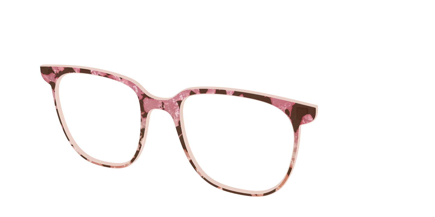 The Pale Peach Pearl Tortoise