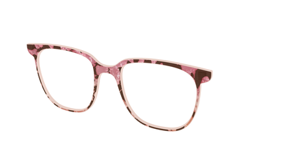 The Pale Peach Pearl Tortoise