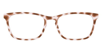 The Caffé Tortoise