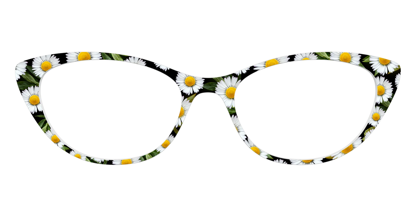 The Delicate Daisies