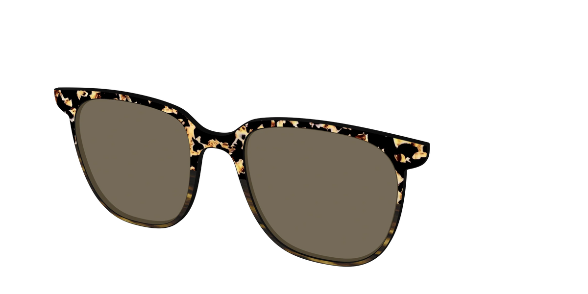 The Polarized Caramel Tortoise Horn Split Sun Top