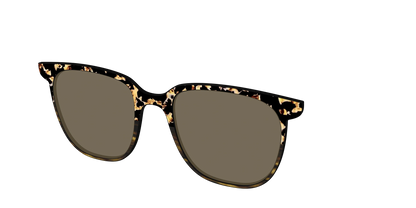 The Polarized Caramel Tortoise Horn Split Sun Top