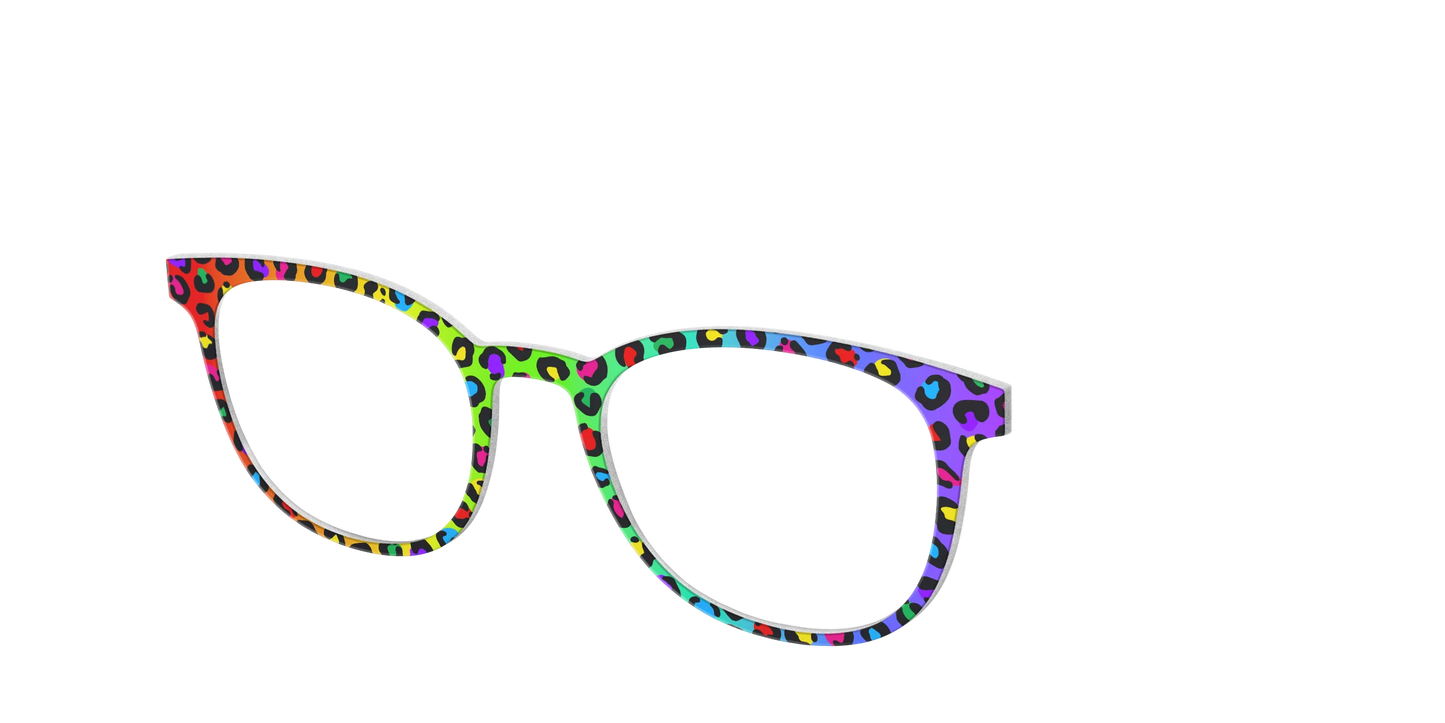 The Rainbow Cheetah