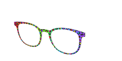 The Rainbow Cheetah