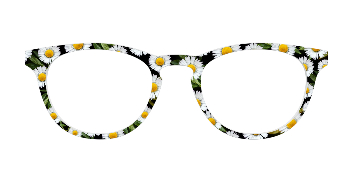 The Delicate Daisies