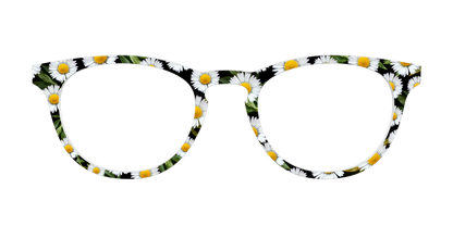The Delicate Daisies