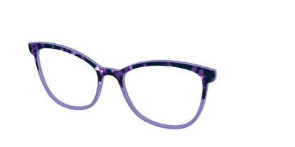 The Iris Tortoise Crystal Split