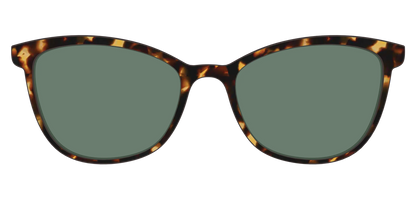 The Non-Polarized Green Tortoise Sun Top