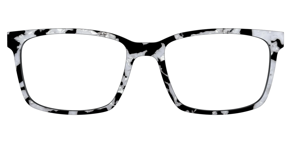 The Black & White Pearl Tortoise