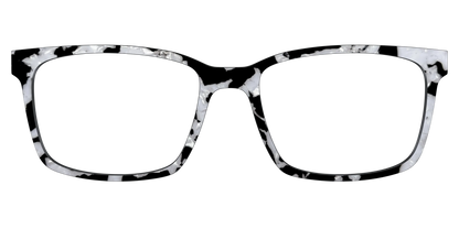 The Black & White Pearl Tortoise