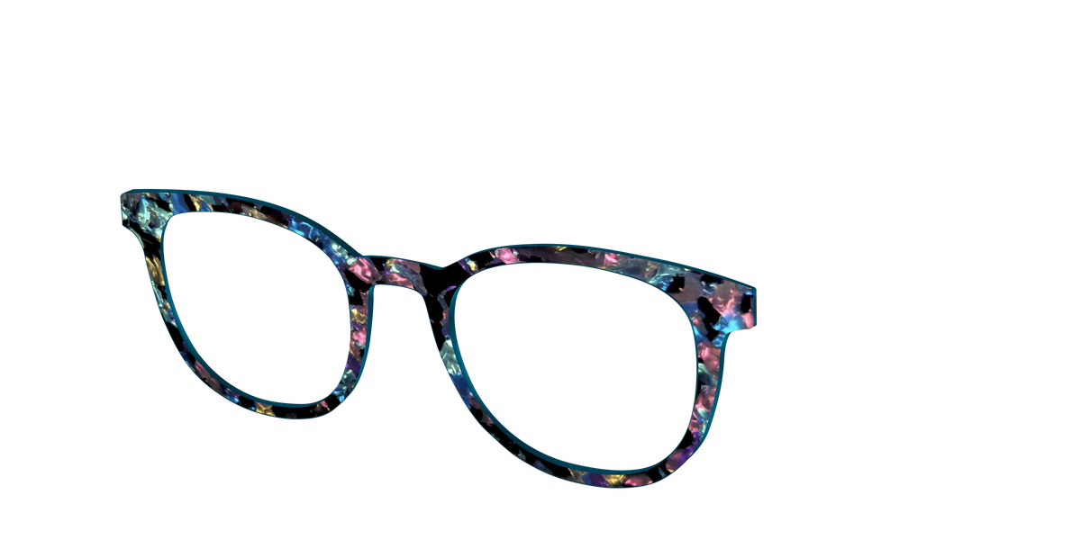 The Black Prismatic Pearl Tortoise