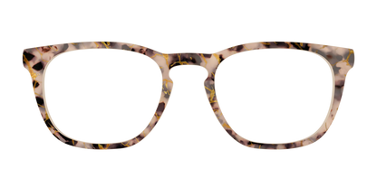 The Almond Tortoise with Gold Streaks