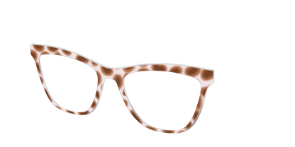 The Caffé Tortoise