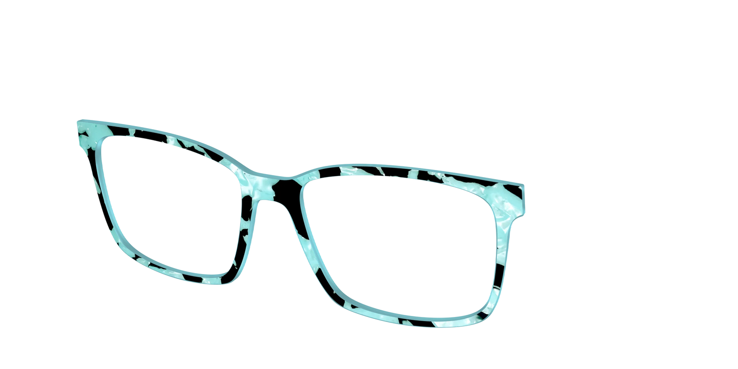 The Robin's Egg Pearl Tortoise