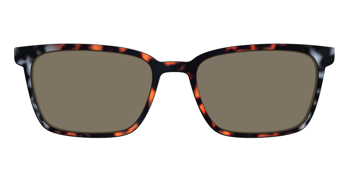 The Polarized Gray & Amber Tortoise Sun Top