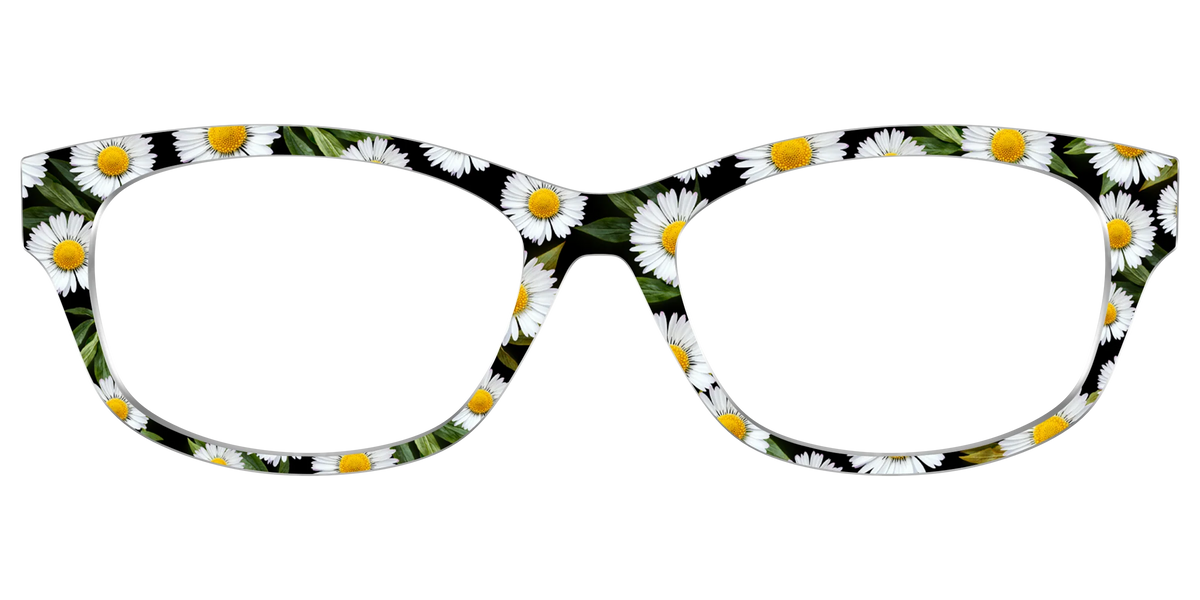 The Delicate Daisies
