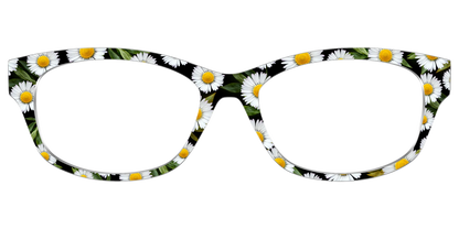 The Delicate Daisies
