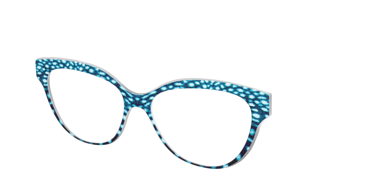 The Whale Shark Spots