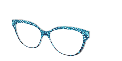 The Whale Shark Spots