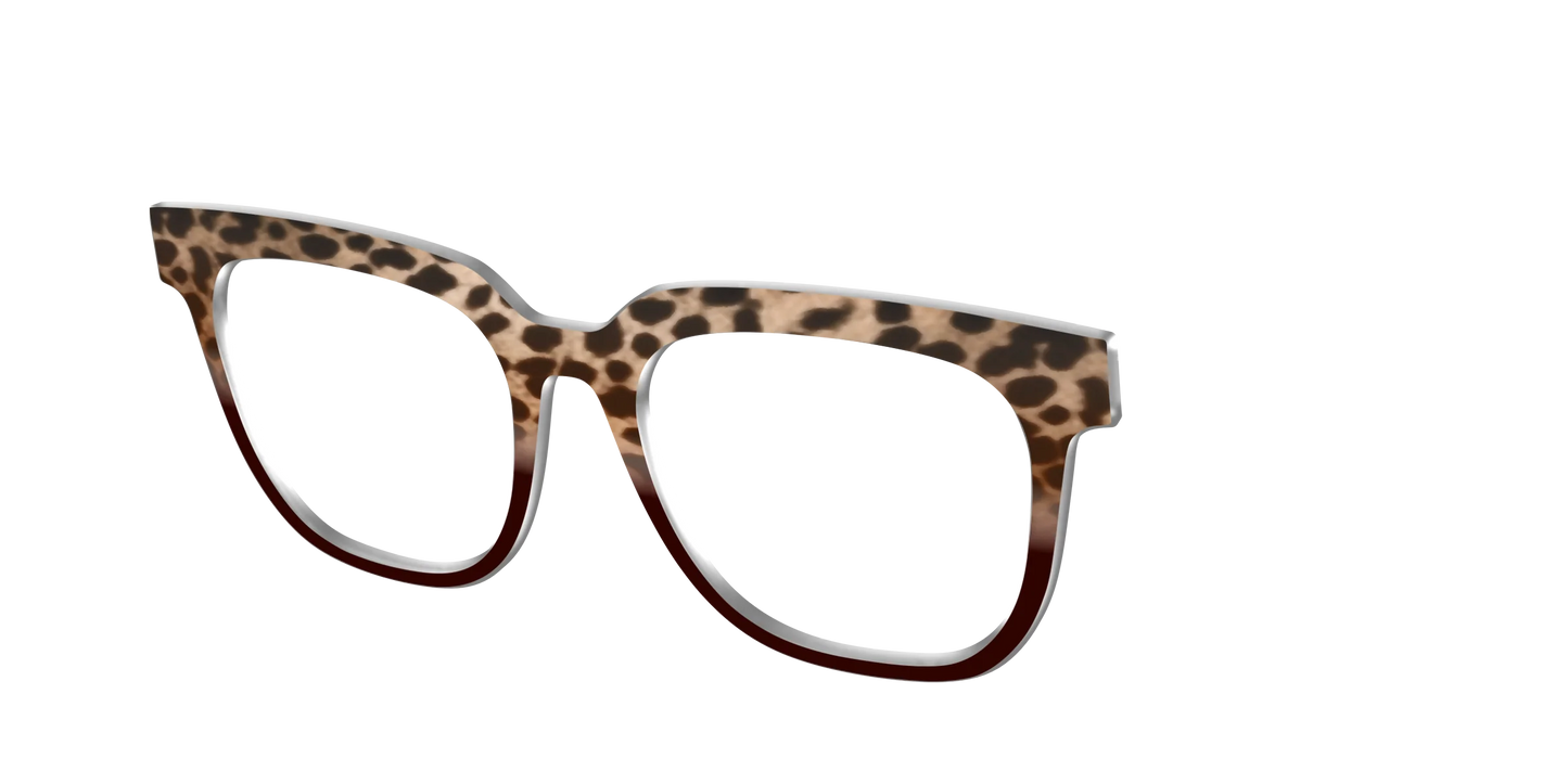 The Jungle Cat Tortoise