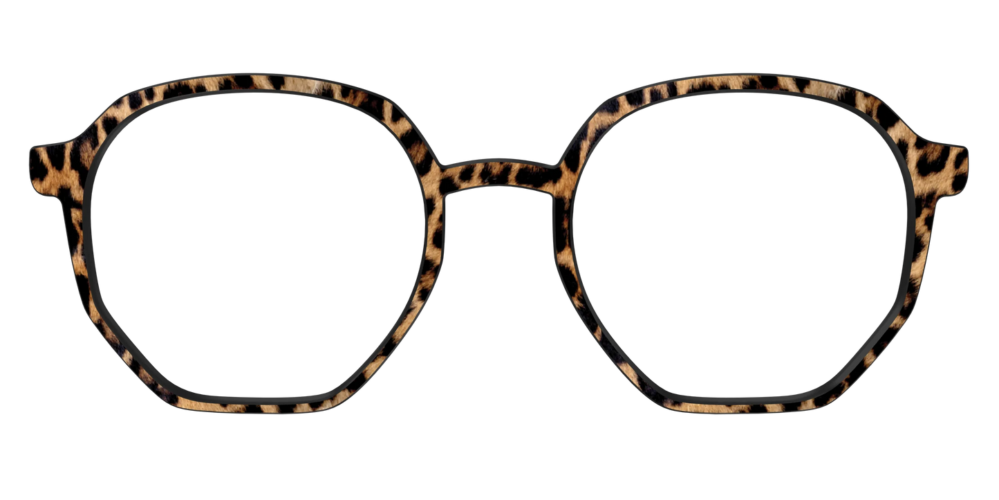 The Cheetah Spots