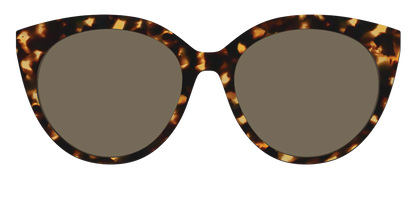 The Non-Polarized Tortoise Sun Top