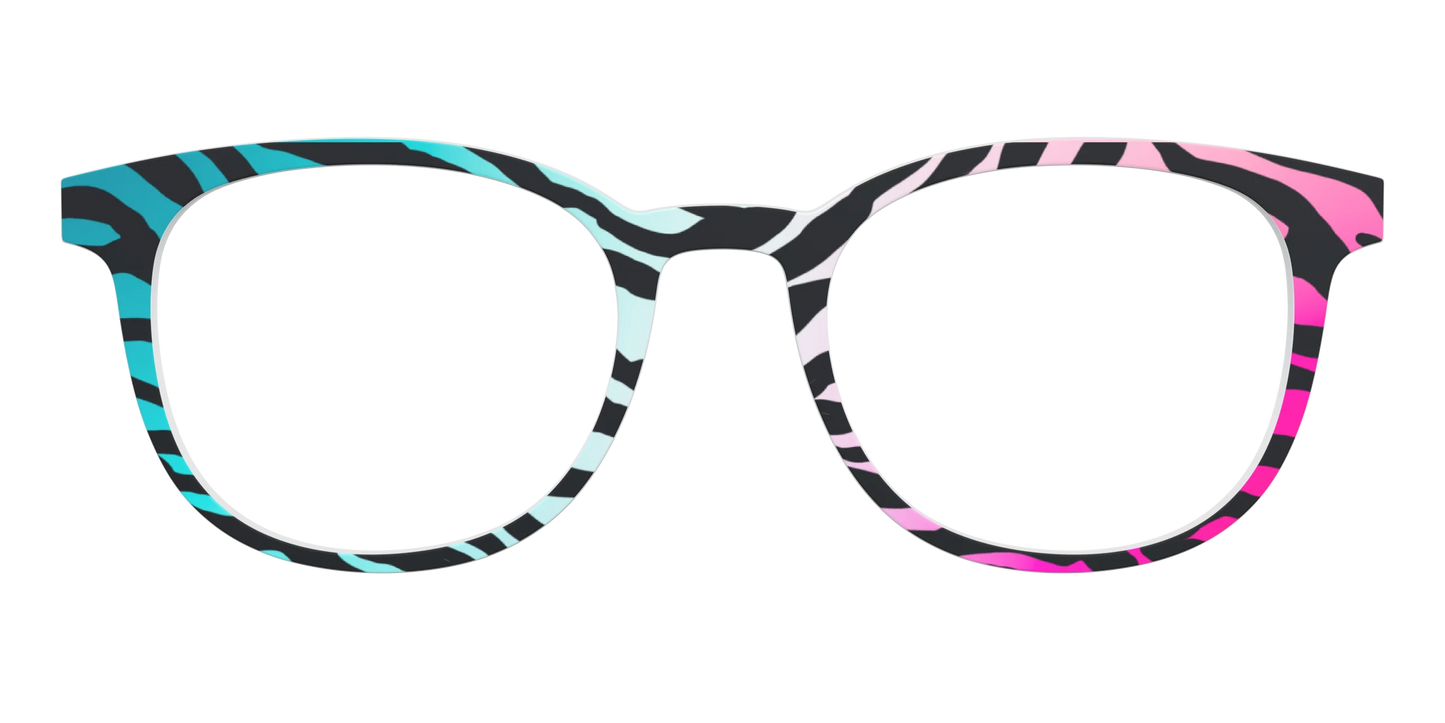 The Rainbow Zebra