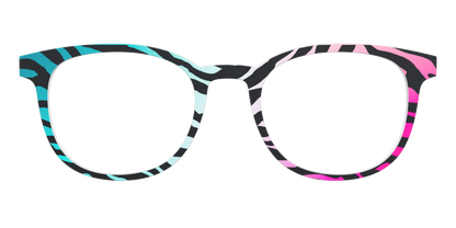 The Rainbow Zebra