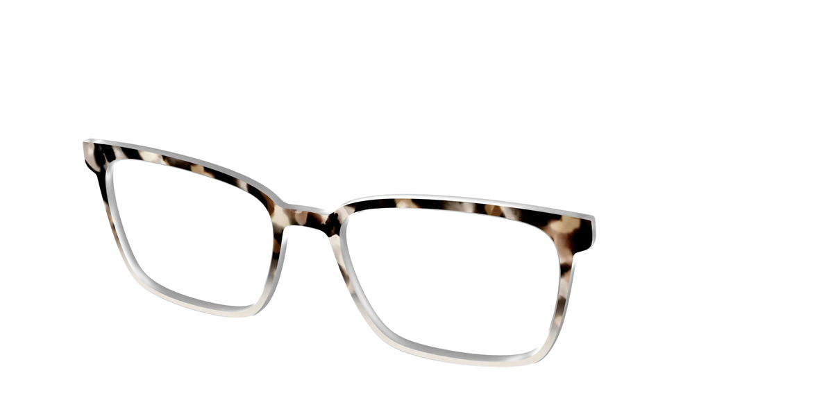 The Vanilla Latte Tortoise