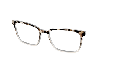 The Vanilla Latte Tortoise
