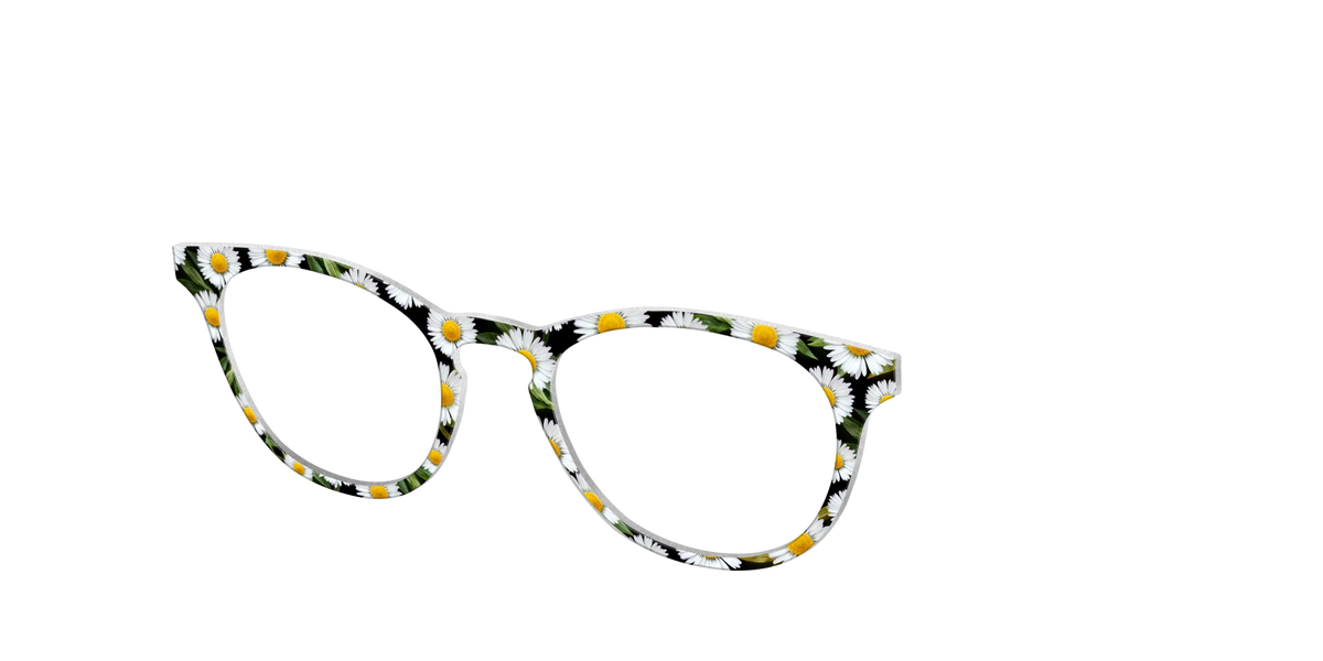 The Delicate Daisies