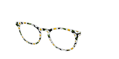 The Delicate Daisies