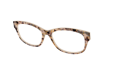 The Almond Tortoise with Gold Streaks