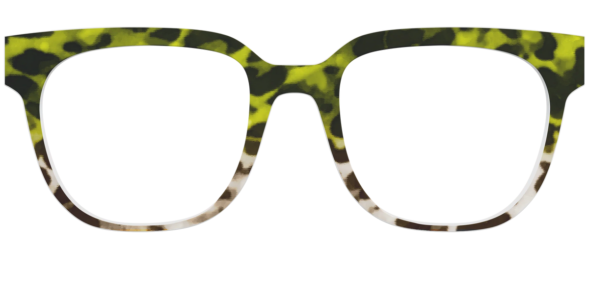 The Avocado to Ivory Tortoise