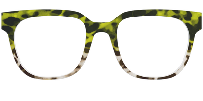 The Avocado to Ivory Tortoise