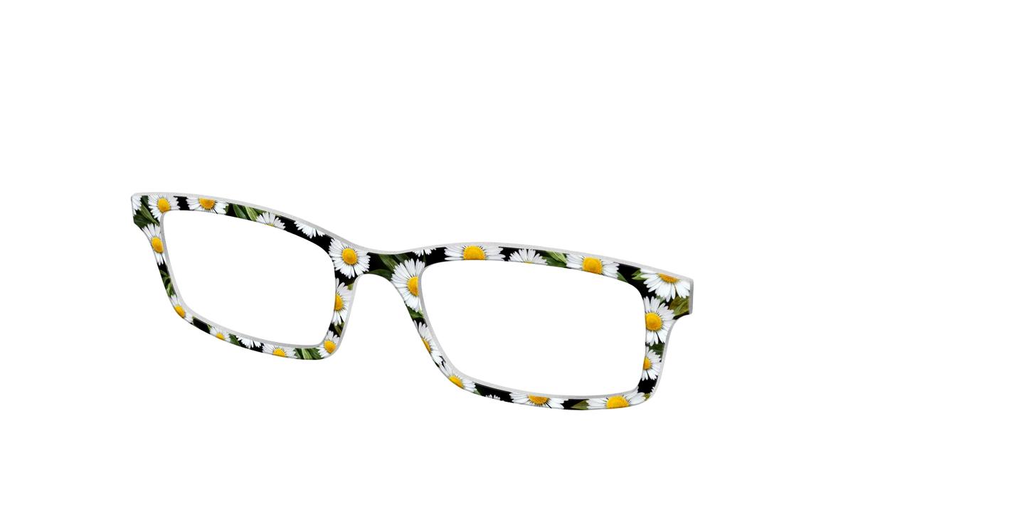 The Delicate Daisies