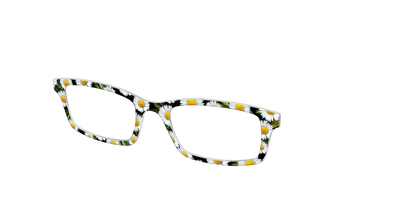 The Delicate Daisies