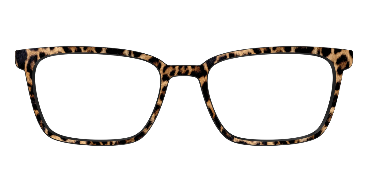 The Cheetah Spots